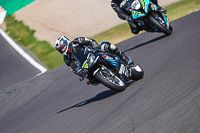 Lower Group Black Bikes